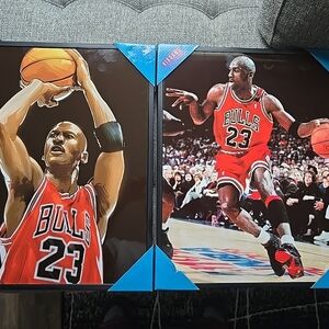 Vibrant Bulls Picture Frames - Red and Black